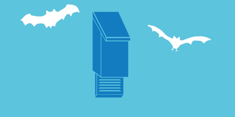 Make a Bat Box