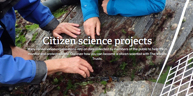 Citizens Science Projects